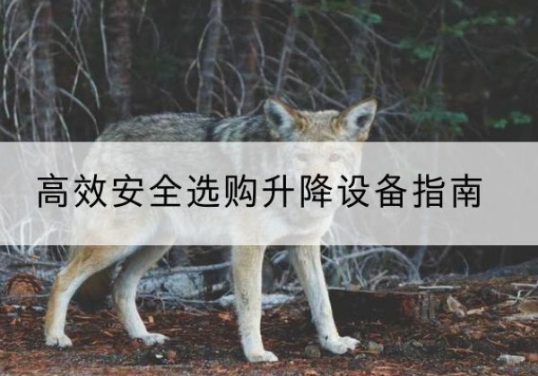 资溪升降货梯厂家推荐-*安全选购升降设备指南