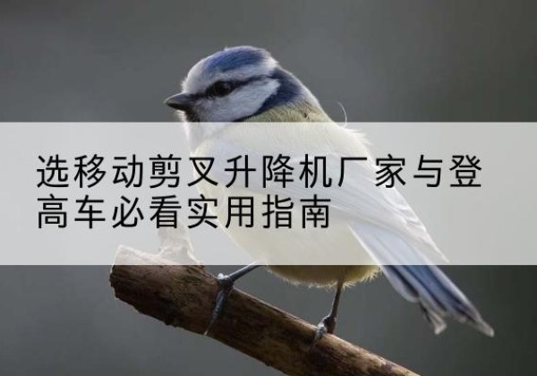 资溪电动升降机厂家-选移动剪叉升降机厂家与登高车必看实用指南